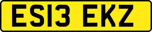 ES13EKZ