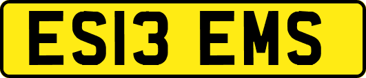 ES13EMS