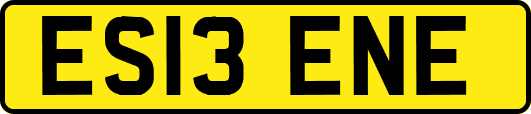 ES13ENE