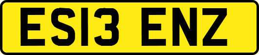 ES13ENZ