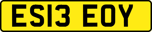 ES13EOY
