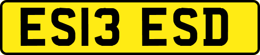 ES13ESD