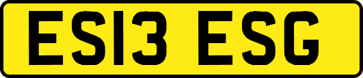 ES13ESG