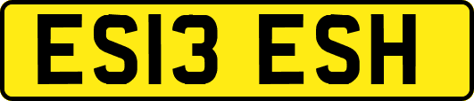 ES13ESH