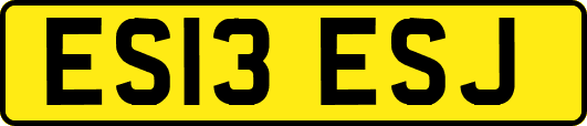 ES13ESJ