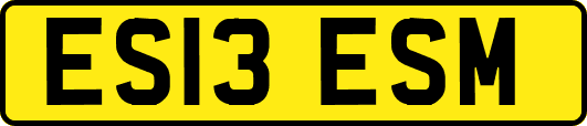 ES13ESM