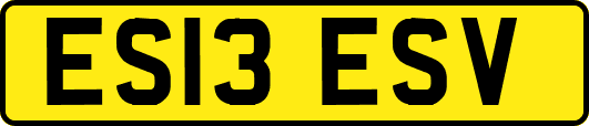 ES13ESV