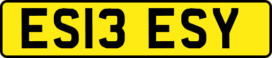 ES13ESY