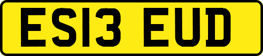 ES13EUD