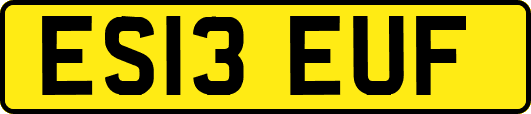 ES13EUF
