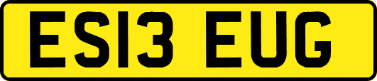 ES13EUG