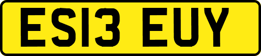 ES13EUY