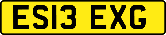 ES13EXG