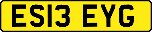 ES13EYG