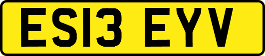 ES13EYV