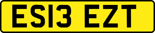 ES13EZT