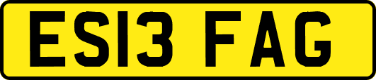 ES13FAG