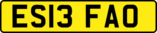 ES13FAO