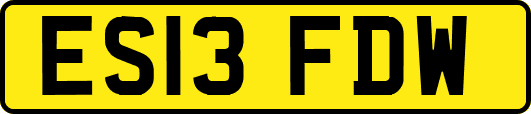 ES13FDW