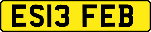 ES13FEB