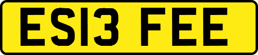 ES13FEE