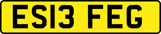 ES13FEG