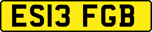 ES13FGB