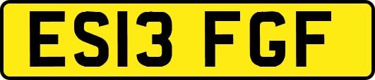 ES13FGF