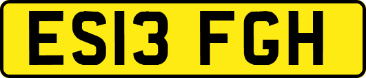 ES13FGH