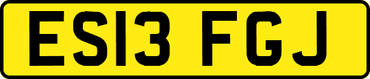 ES13FGJ
