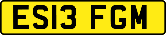ES13FGM