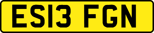 ES13FGN