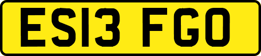 ES13FGO