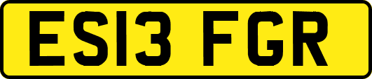 ES13FGR