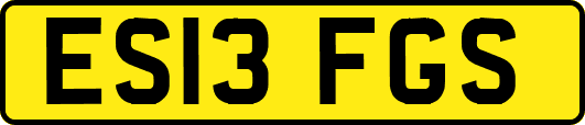 ES13FGS