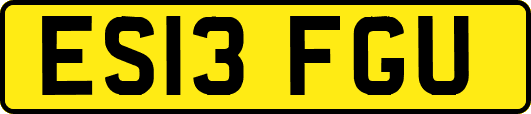 ES13FGU
