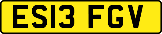 ES13FGV