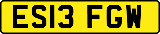 ES13FGW