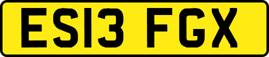 ES13FGX