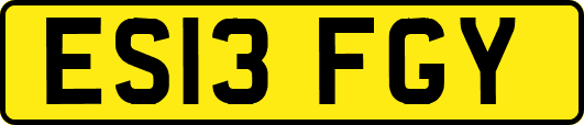 ES13FGY