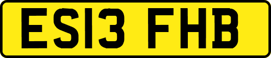 ES13FHB