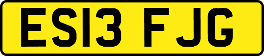 ES13FJG