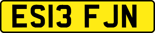 ES13FJN