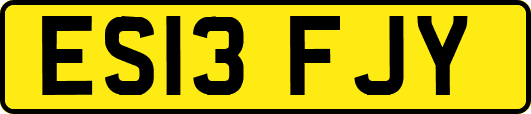 ES13FJY