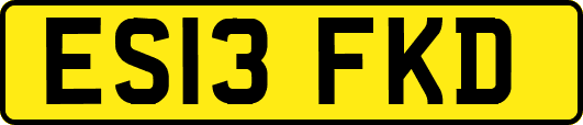 ES13FKD