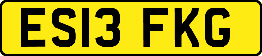 ES13FKG