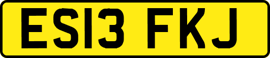 ES13FKJ