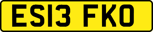 ES13FKO