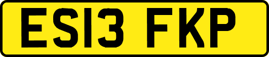 ES13FKP