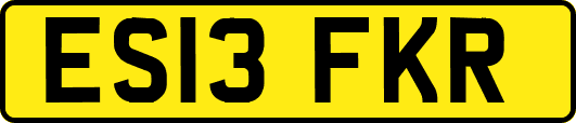 ES13FKR